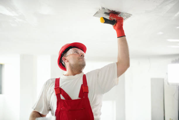 Best Drywall Sanding and Smoothing  in Vestavia Hills, AL